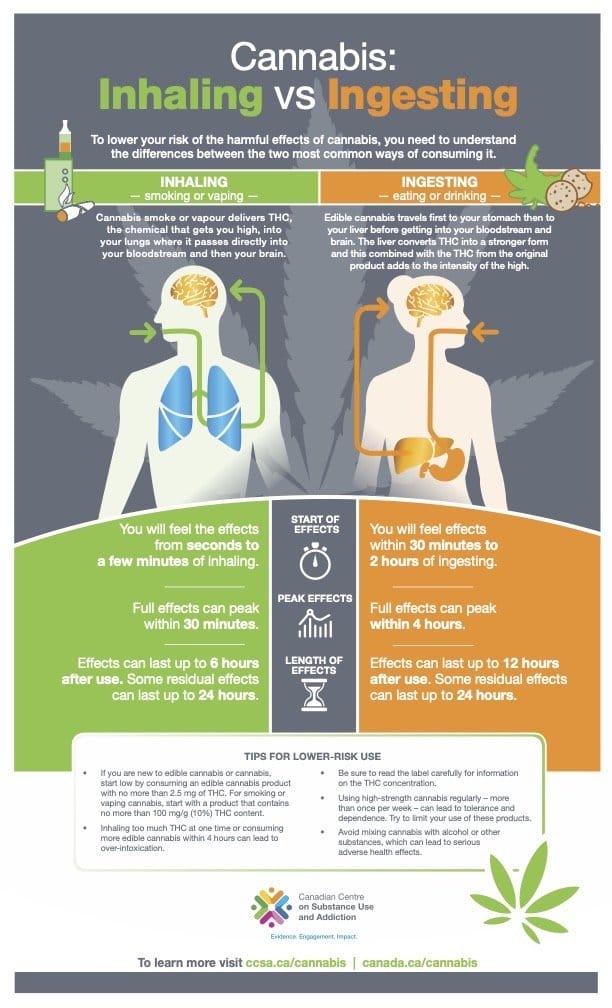 infographic describing the different way your body metabolizes inhaled cannabis versus ingested cannabis