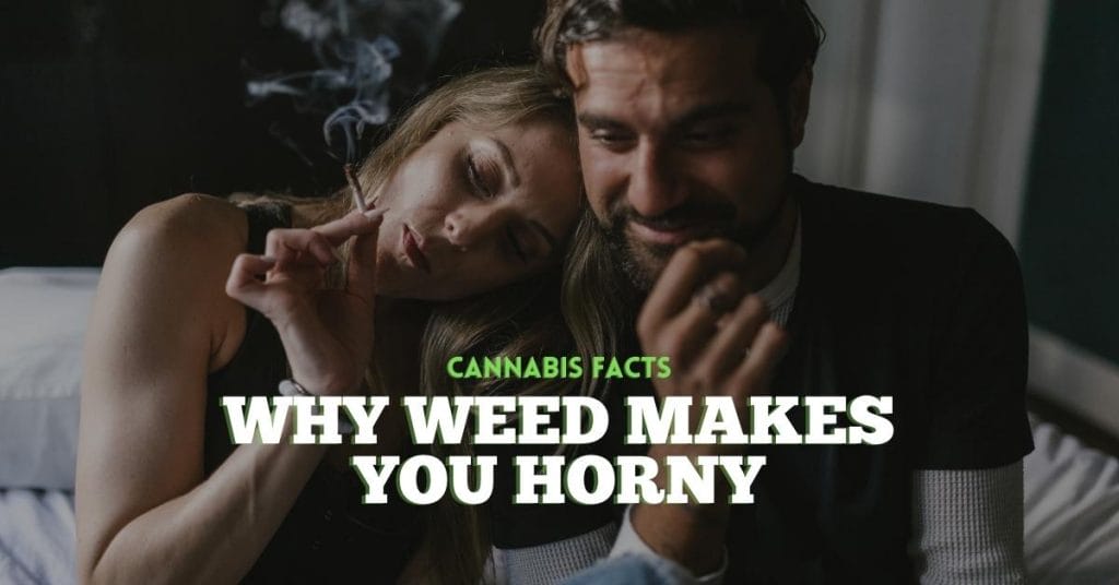 male and female couple with joint wondering why does weed make you horny in bedroom
