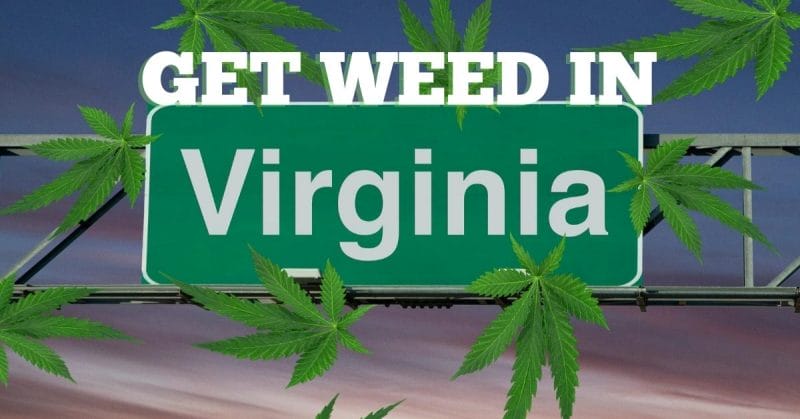 Virginia road sign with custom text reading Get Weed In Virginia