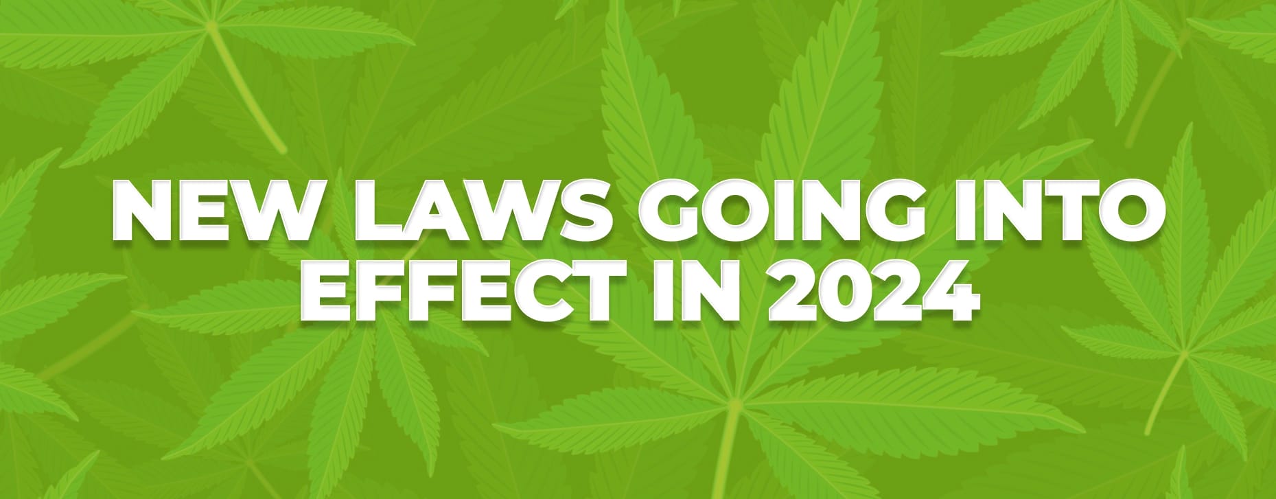 2024 Updates Understanding Virginia S Cannabis Legislation   New Laws Going Into Effect In 2024 